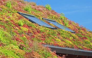 Caister On Sea living roof systems